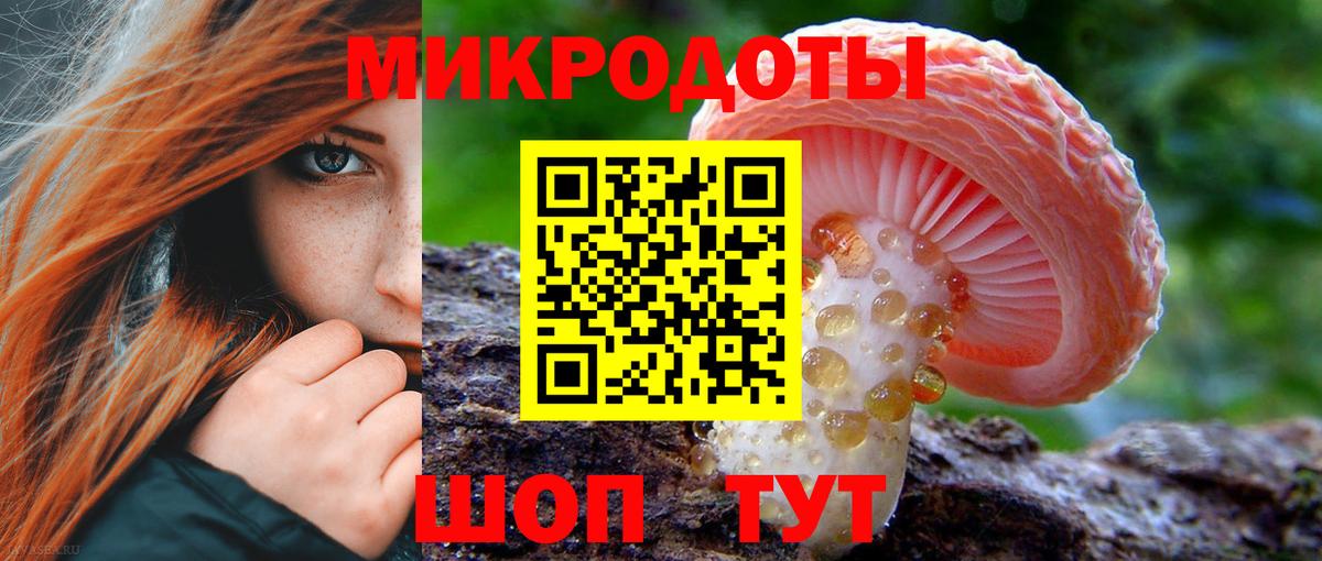 Галлюциногенные грибы прущие грибы Королёв