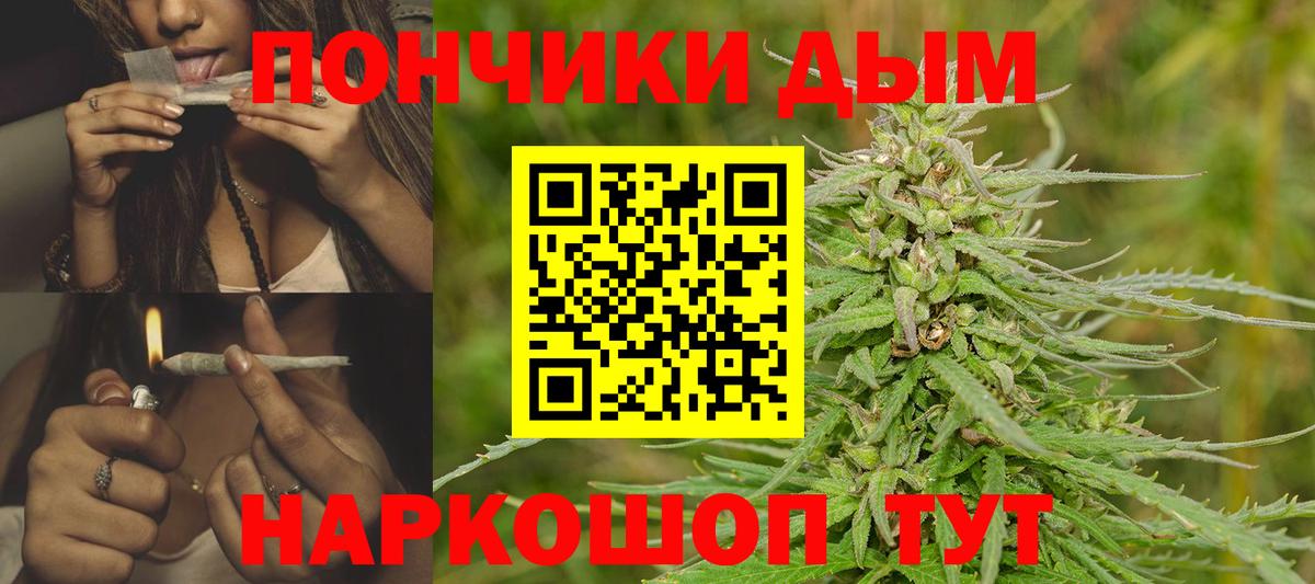 Каннабис план  Вход с VPN  Шишки марихуана гибрид  Шишки марихуана Ganja  Королёв  Конопля VHQ 